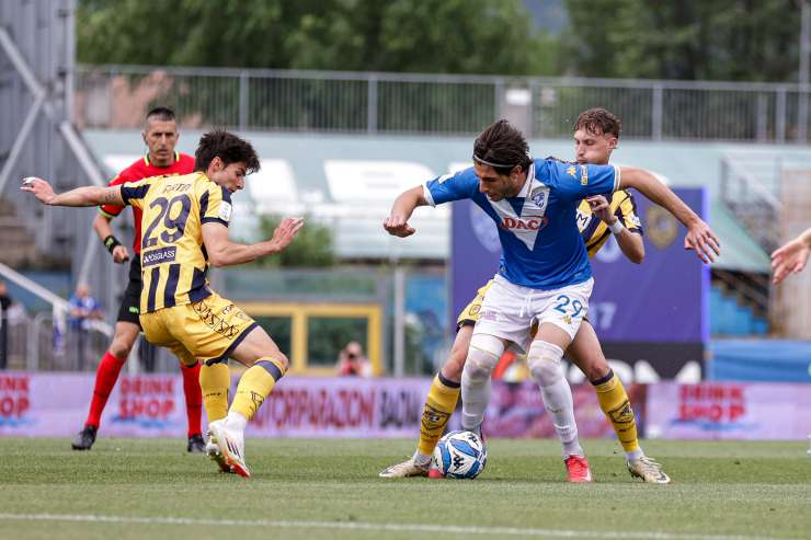 Borrelli
