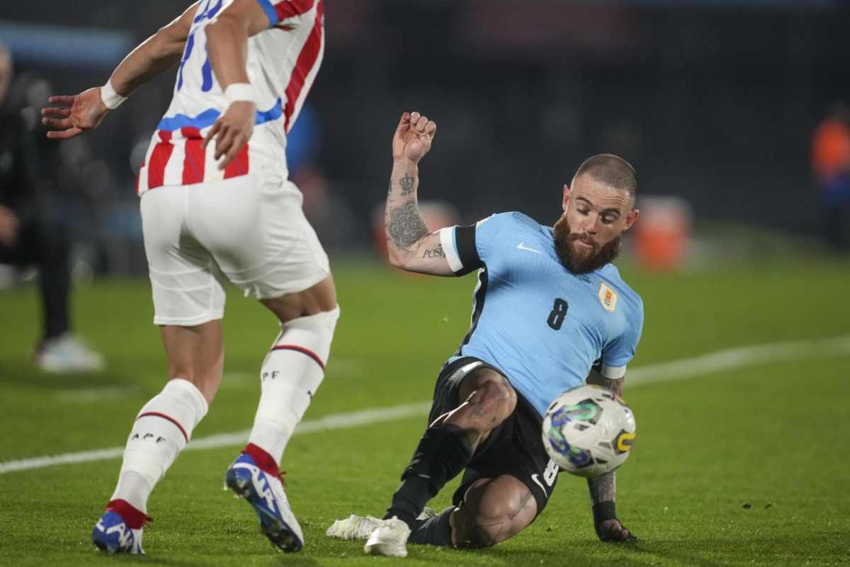 Nandez