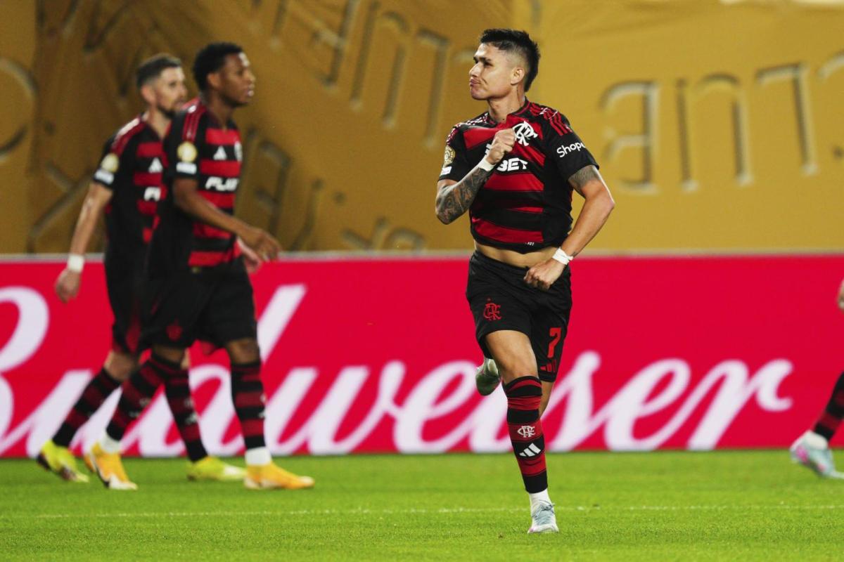 Luiz Araujo