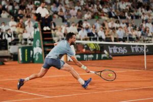 Damir Dzumhur in azione