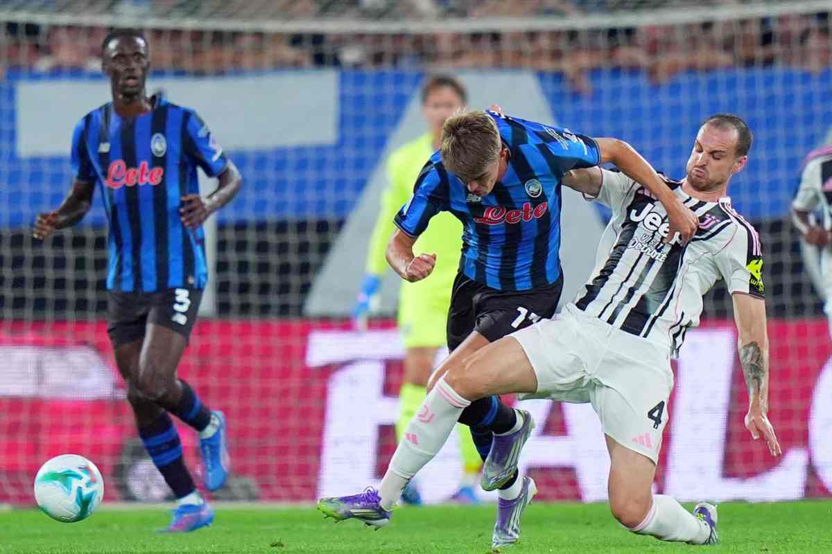 Gatti in contrasto