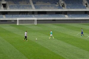 Frosinone-Torino: pronostico e diretta streaming